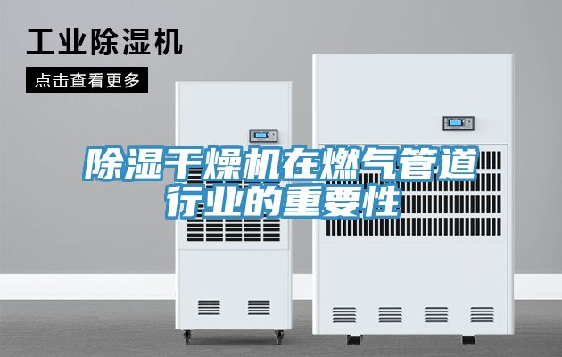 除湿干燥机在燃气管道行业的重要性
