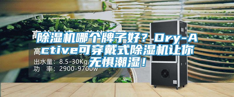 除湿机哪个牌子好？Dry-Active可穿戴式除湿机让你无惧潮湿！