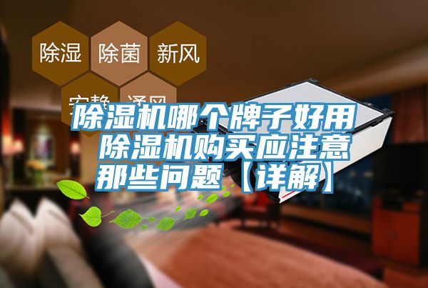 除湿机哪个牌子好用 除湿机购买应注意那些问题【详解】