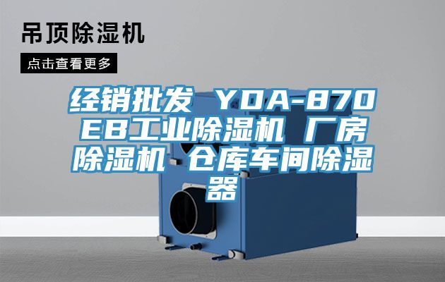 经销批发 YDA-870EB工业除湿机 厂房除湿机 仓库车间除湿器