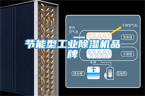 节能型工业除湿机品牌