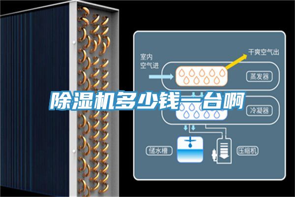 除湿机多少钱一台啊