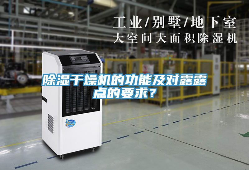 除湿干燥机的功能及对露露点的要求？