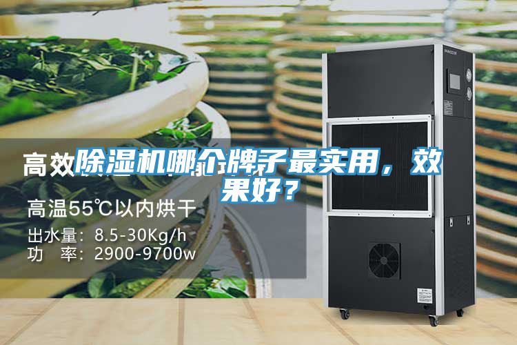 除湿机哪个牌子最实用，效果好？