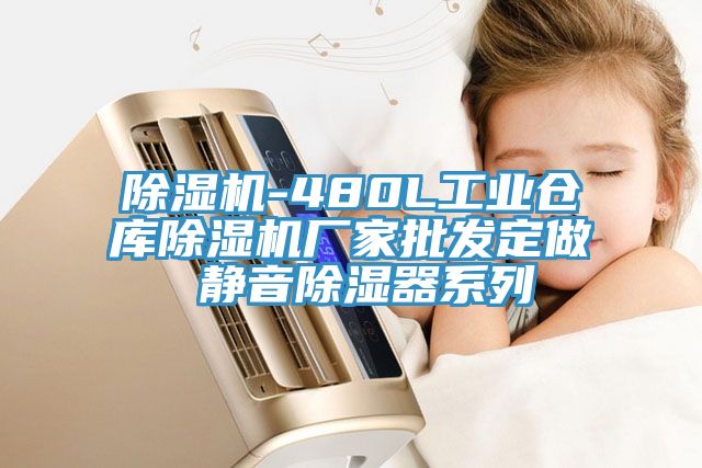 除湿机-480L工业仓库除湿机厂家批发定做 静音除湿器系列
