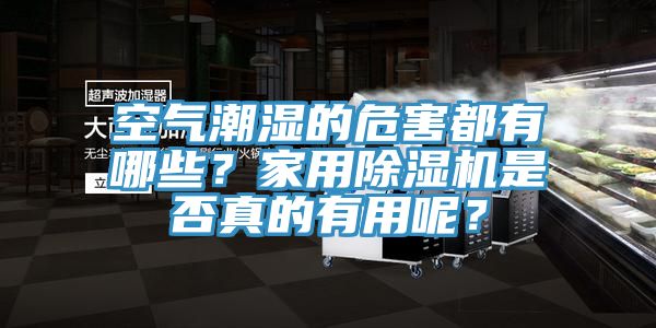 空气潮湿的危害都有哪些？家用除湿机是否真的有用呢？