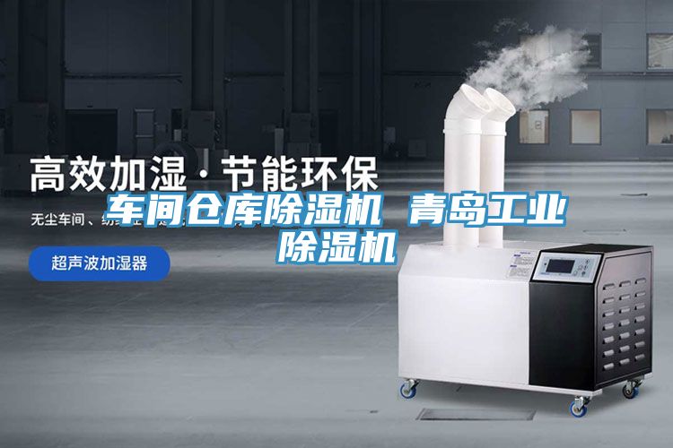 车间仓库除湿机 青岛工业除湿机