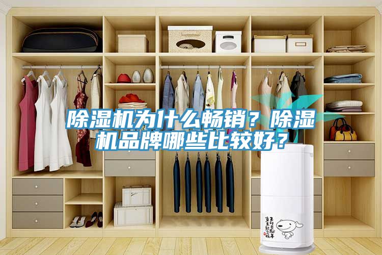 除湿机为什么畅销？除湿机品牌哪些比较好？