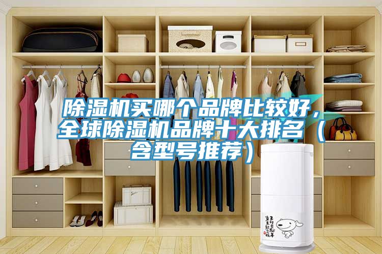 除湿机买哪个品牌比较好，全球除湿机品牌十大排名（含型号推荐）