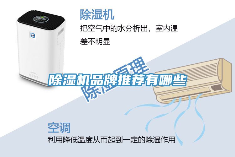 除湿机品牌推荐有哪些