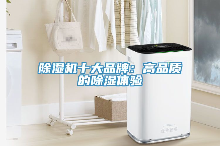 除湿机十大品牌：高品质的除湿体验