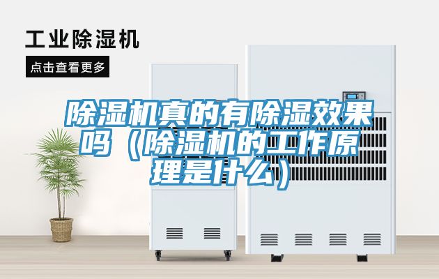 除湿机真的有除湿效果吗（除湿机的工作原理是什么）