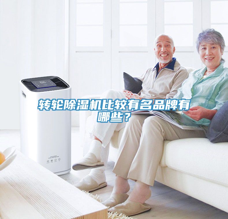 转轮除湿机比较有名品牌有哪些？