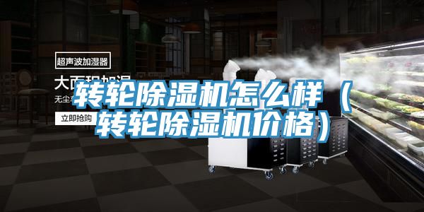 转轮除湿机怎么样（转轮除湿机价格）