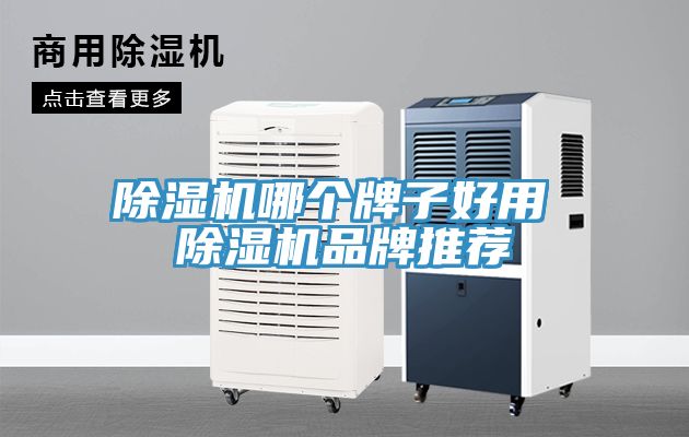 除湿机哪个牌子好用 除湿机品牌推荐