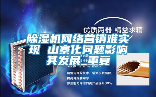 除湿机网络营销难实现 山寨化问题影响其发展_重复