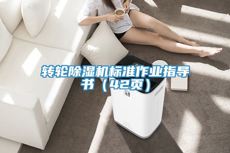 转轮除湿机标准作业指导书（42页）