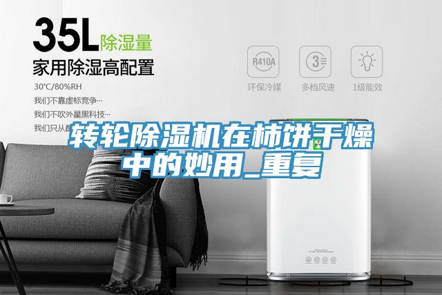 转轮除湿机在柿饼干燥中的妙用_重复