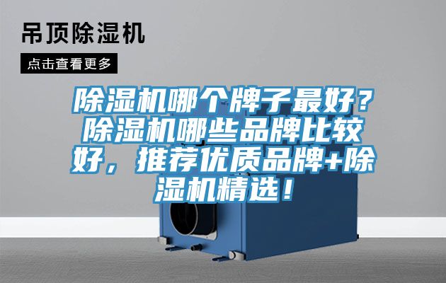 除湿机哪个牌子最好？除湿机哪些品牌比较好，推荐优质品牌+除湿机精选！