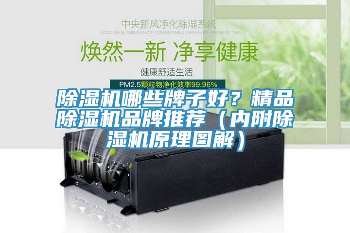 除湿机哪些牌子好？精品除湿机品牌推荐（内附除湿机原理图解）
