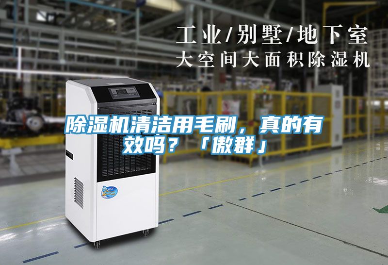 除湿机清洁用毛刷，真的有效吗？「傲群」