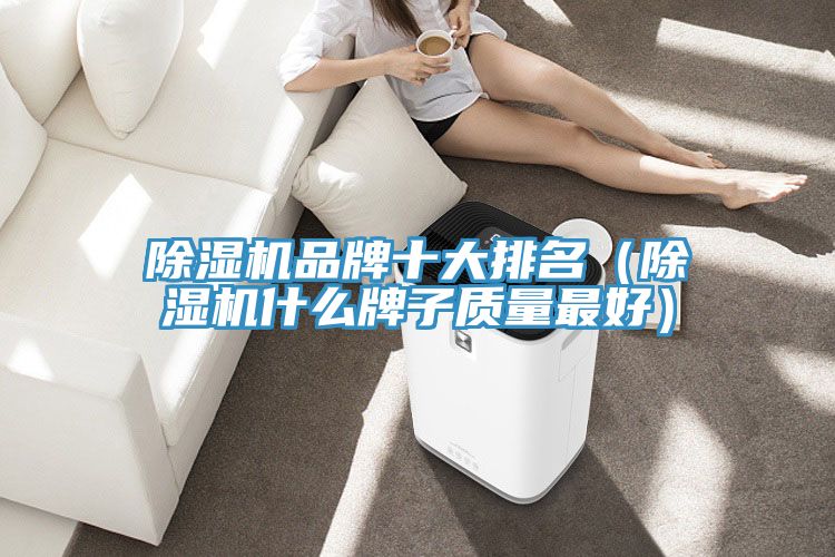 除湿机品牌十大排名（除湿机什么牌子质量最好）