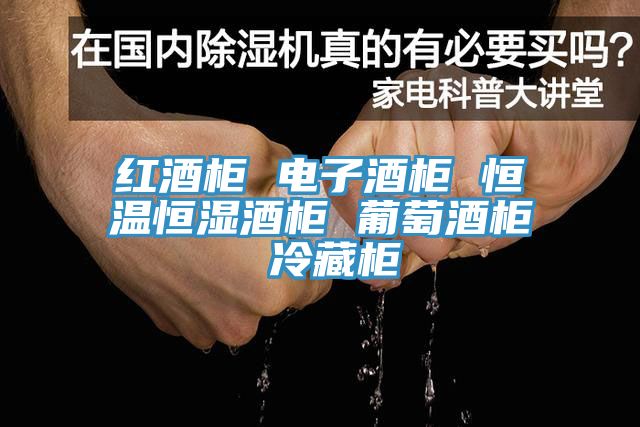 红酒柜 电子酒柜 恒温恒湿酒柜 葡萄酒柜 冷藏柜
