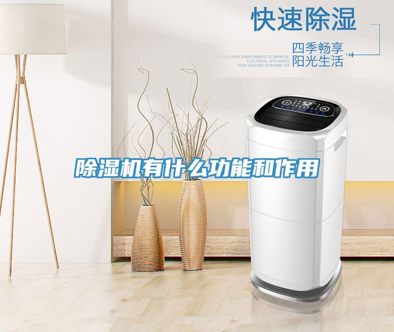 除湿机有什么功能和作用