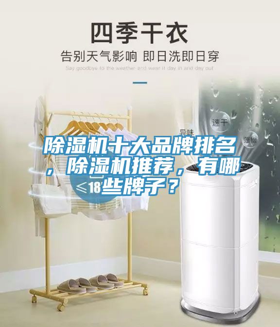 除湿机十大品牌排名，除湿机推荐，有哪些牌子？