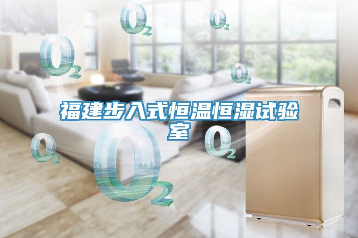 福建步入式恒温恒湿试验室