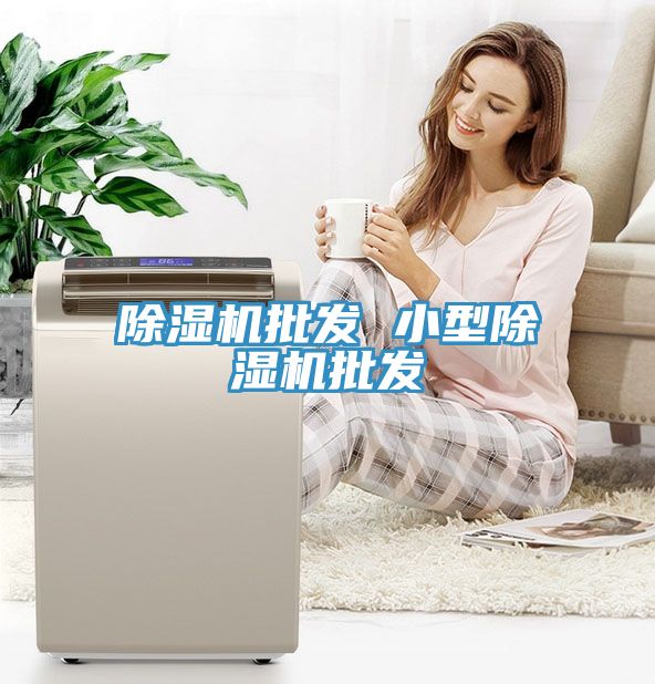 除湿机批发 小型除湿机批发