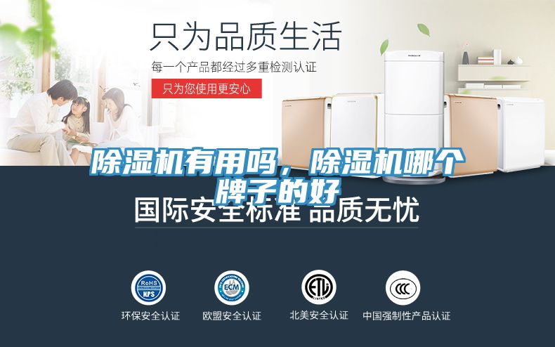 除湿机有用吗，除湿机哪个牌子的好