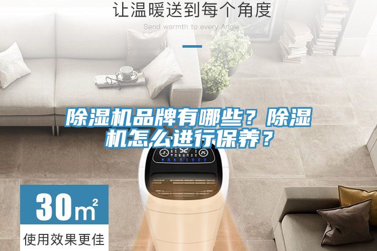 除湿机品牌有哪些？除湿机怎么进行保养？