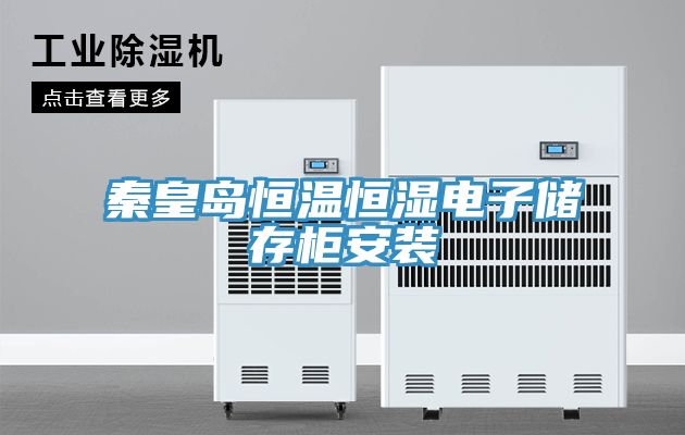 秦皇岛恒温恒湿电子储存柜安装