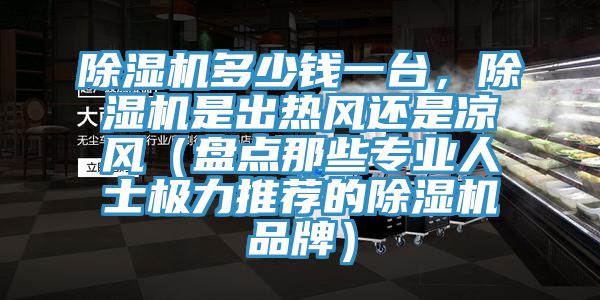 除湿机多少钱一台，除湿机是出热风还是凉风（盘点那些专业人士极力推荐的除湿机品牌）