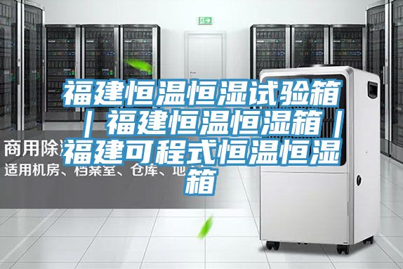 福建恒温恒湿试验箱｜福建恒温恒湿箱｜福建可程式恒温恒湿箱