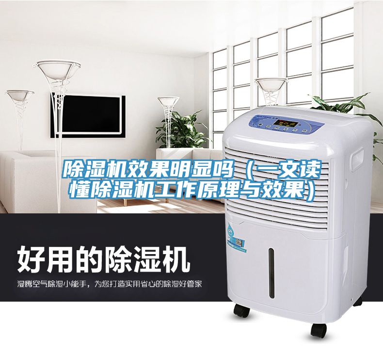 除湿机效果明显吗（一文读懂除湿机工作原理与效果）
