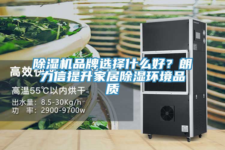 除湿机品牌选择什么好？朗力信提升家居除湿环境品质