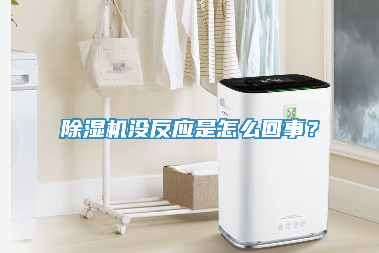 除湿机没反应是怎么回事？