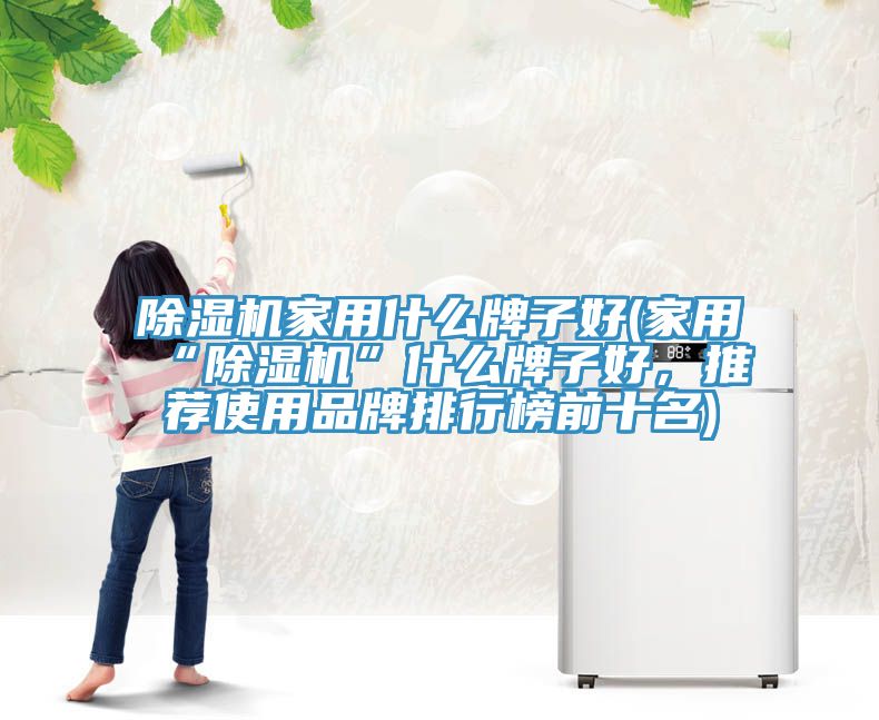 除湿机家用什么牌子好(家用“除湿机”什么牌子好，推荐使用品牌排行榜前十名)