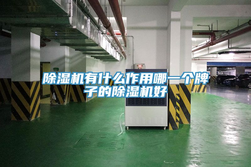 除湿机有什么作用哪一个牌子的除湿机好