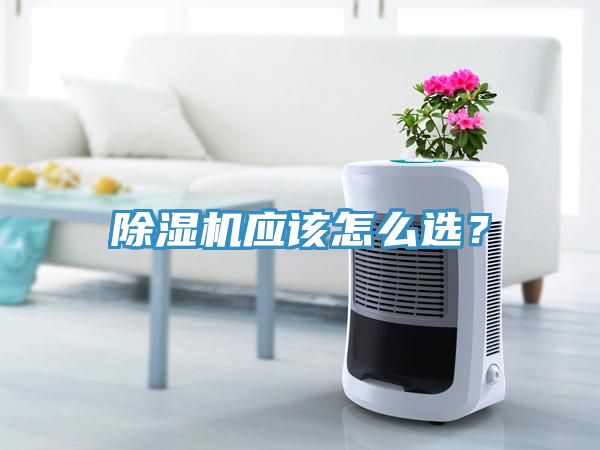 除湿机应该怎么选？