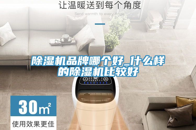 除湿机品牌哪个好_什么样的除湿机比较好
