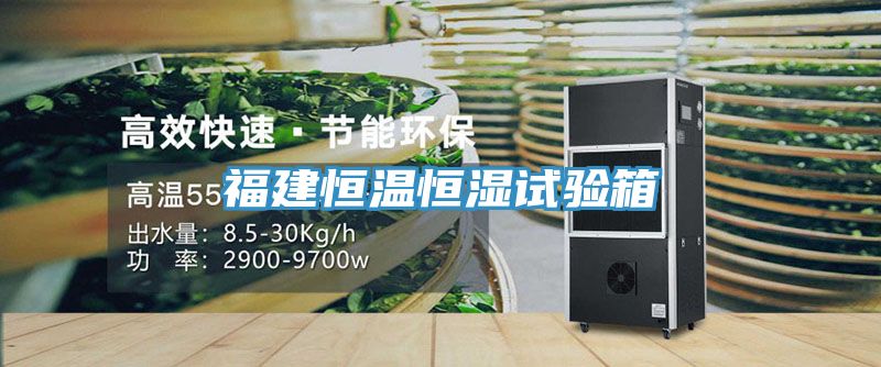 福建恒温恒湿试验箱