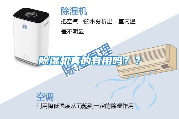 除湿机真的有用吗？？