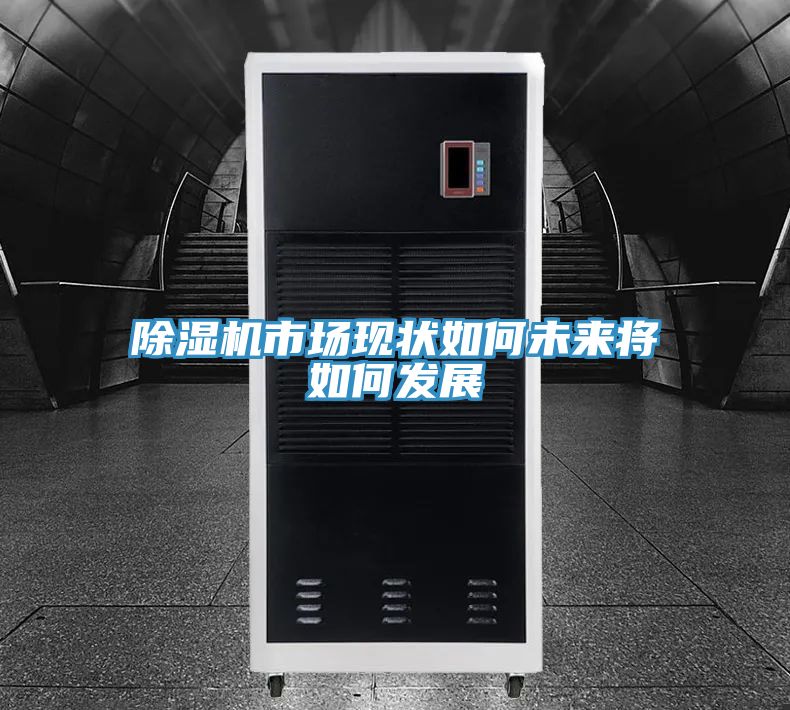除湿机市场现状如何未来将如何发展