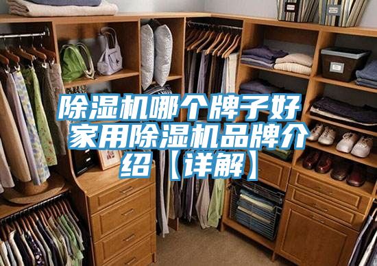 除湿机哪个牌子好 家用除湿机品牌介绍【详解】