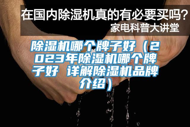 除湿机哪个牌子好（2023年除湿机哪个牌子好 详解除湿机品牌介绍）