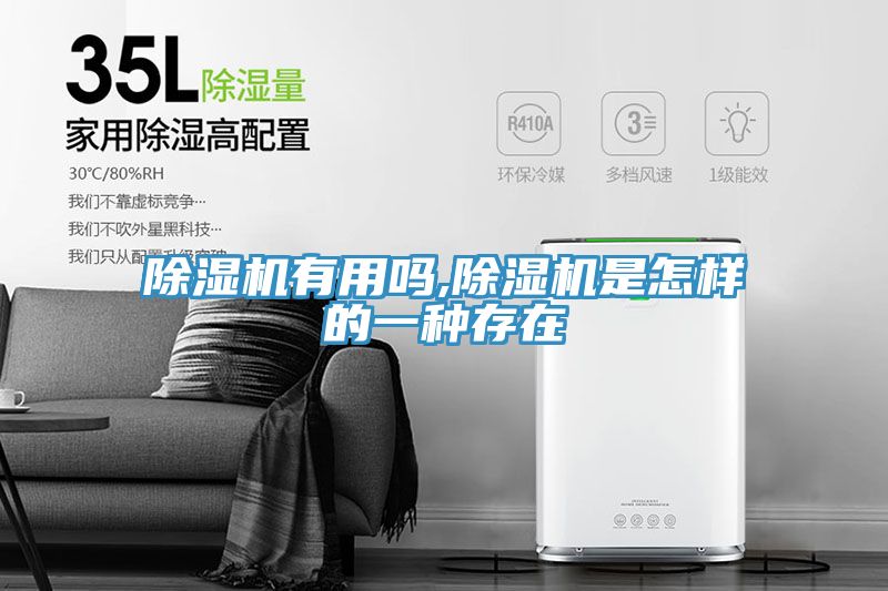 除湿机有用吗,除湿机是怎样的一种存在