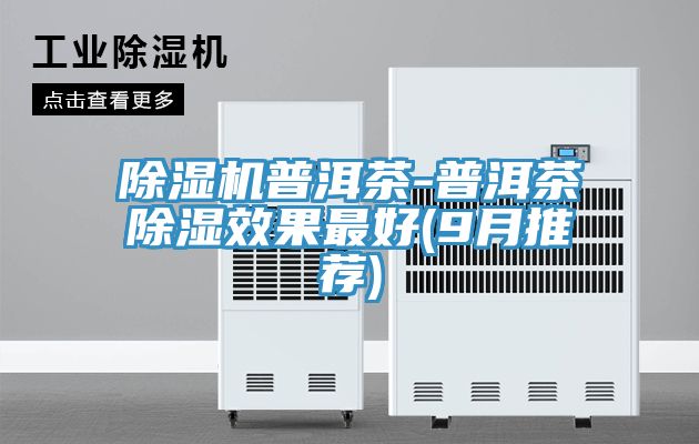 除湿机普洱茶-普洱茶除湿效果最好(9月推荐)